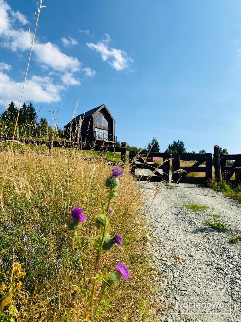 Vista - Domek Wakacyjny w Górach Sowich