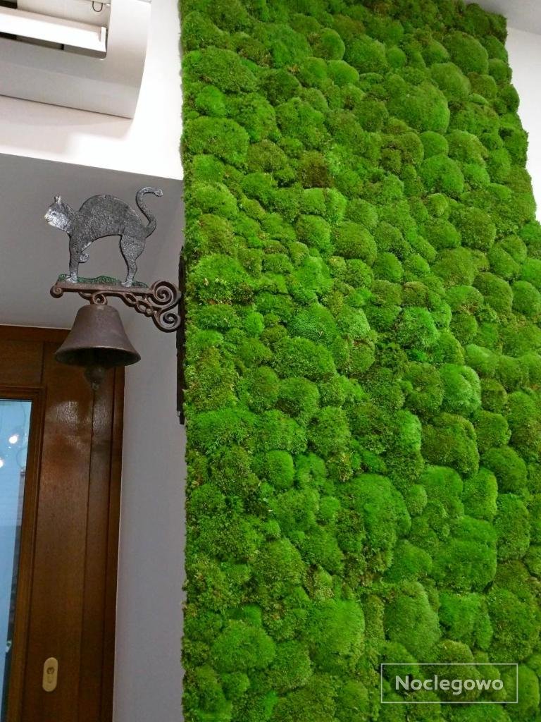 Apartament Starowiślna