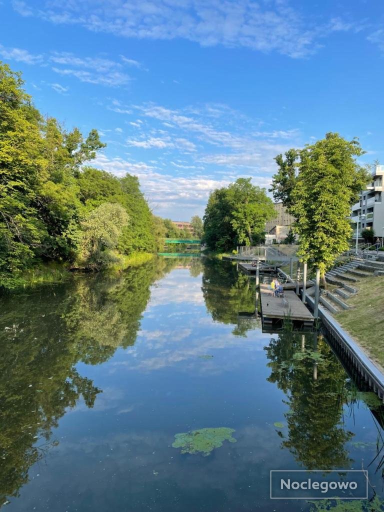 Angel Dreams by the River Walońska 15&19