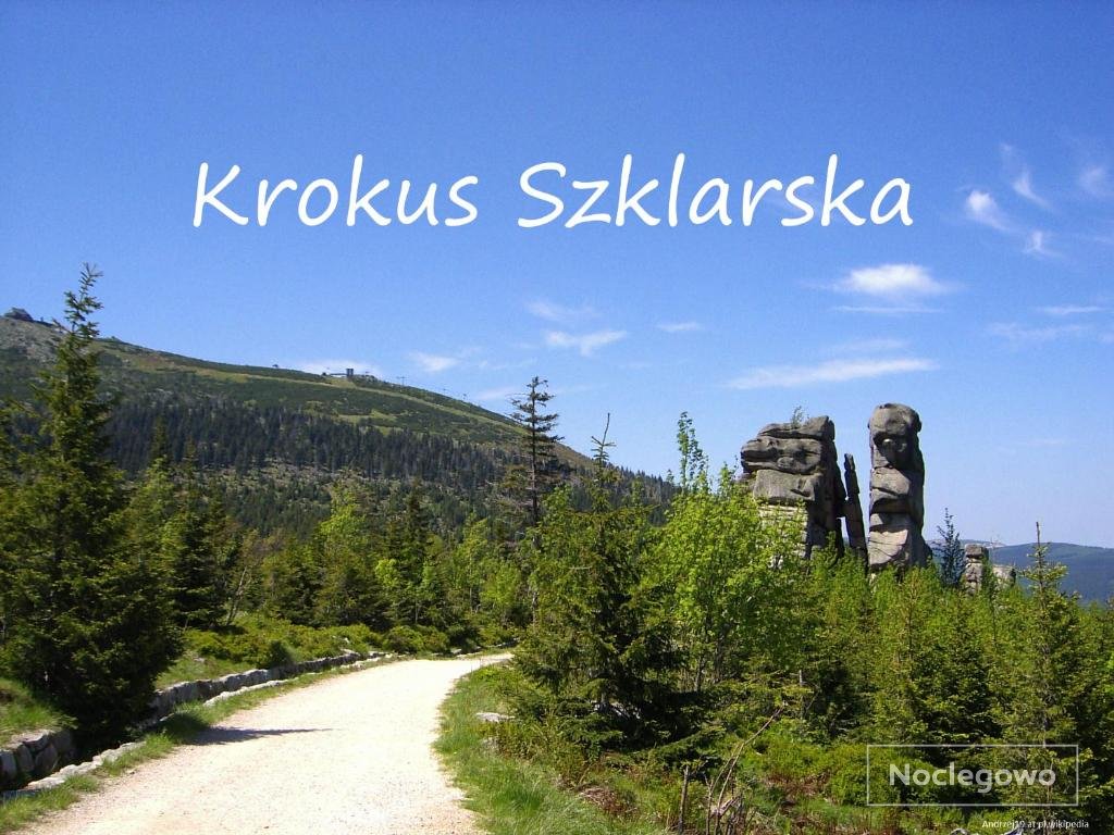 Apartament Krokus Szklarska - kolej linowa na Szrenicę 7 minut pieszo, wysoki standard, światłowód, parking