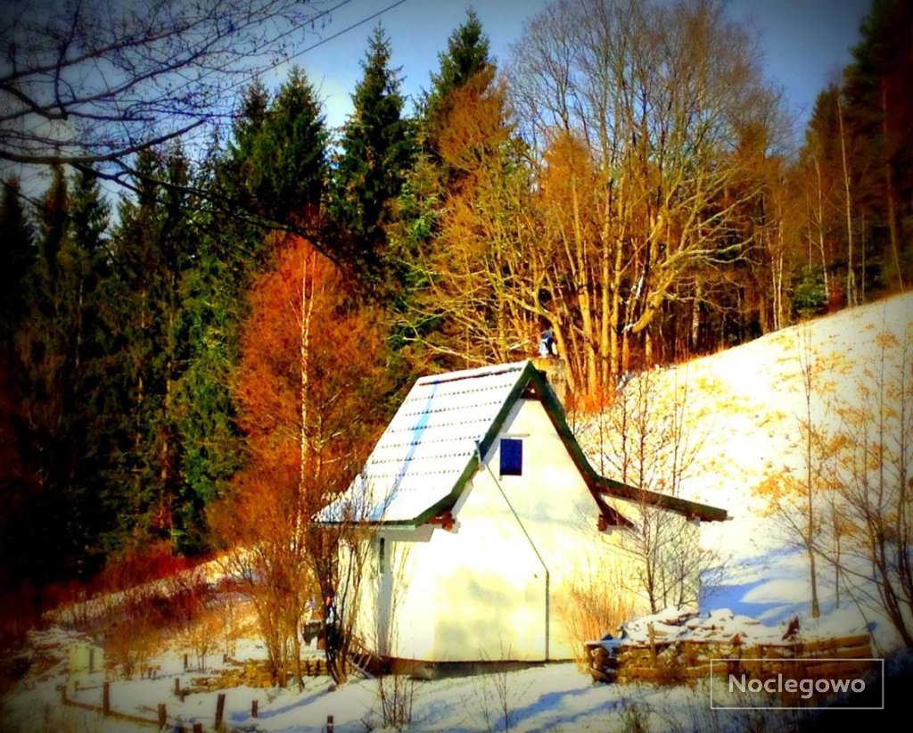 Dziewięćsił-domek w górach
