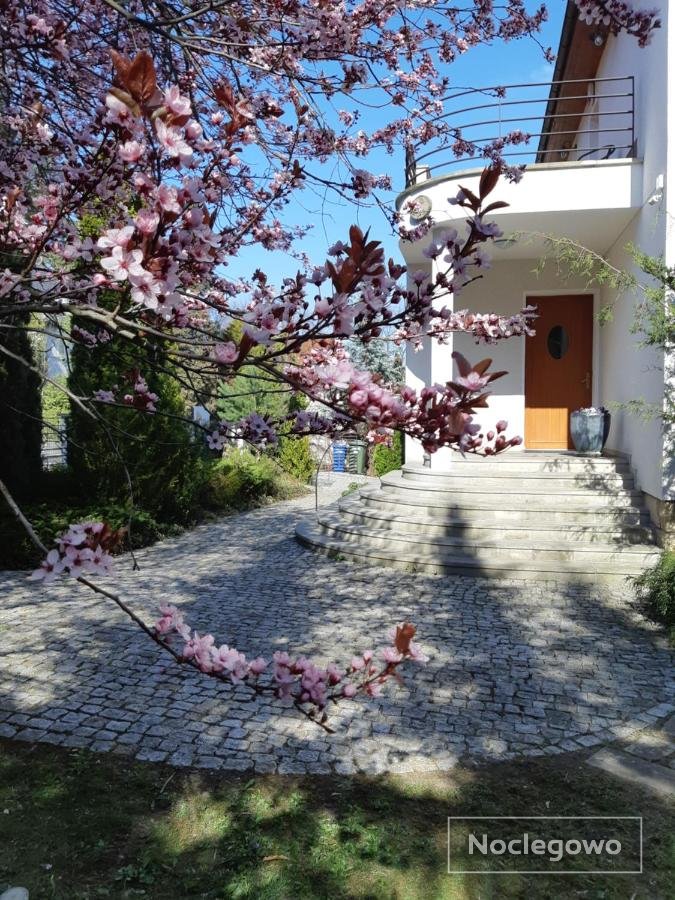 Apartamenty w Parku- Rydz Polanica Zdrój