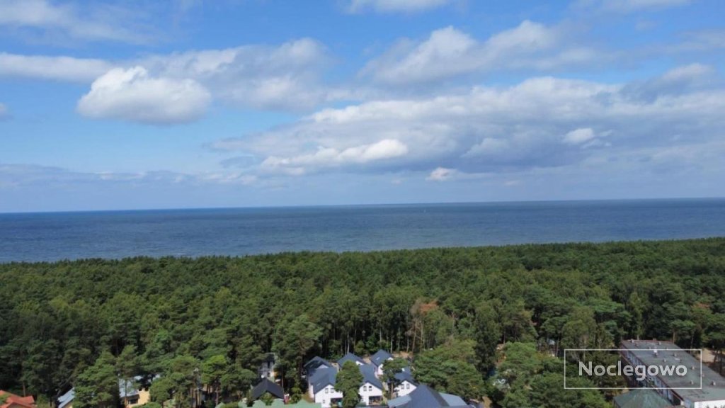 Apartament w sosnowym lesie